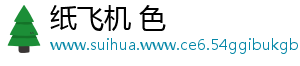 纸飞机 色